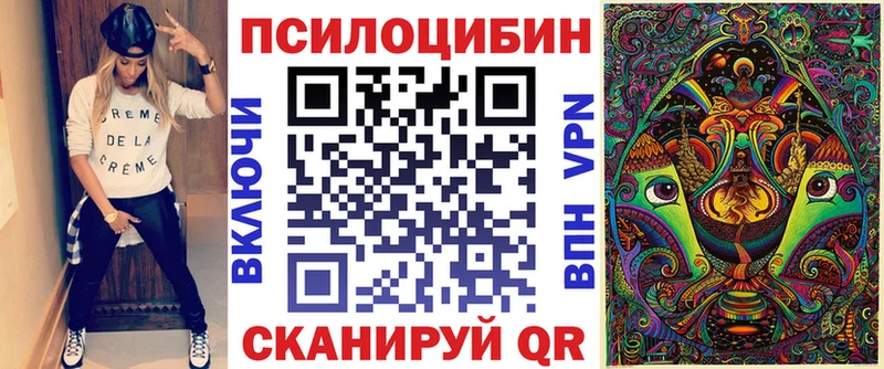 Псилоцибиновые грибы Psilocybine cubensis  закладка  Уварово 